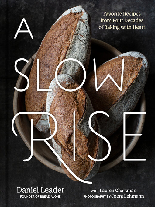 Title details for A Slow Rise by Daniel Leader - Wait list